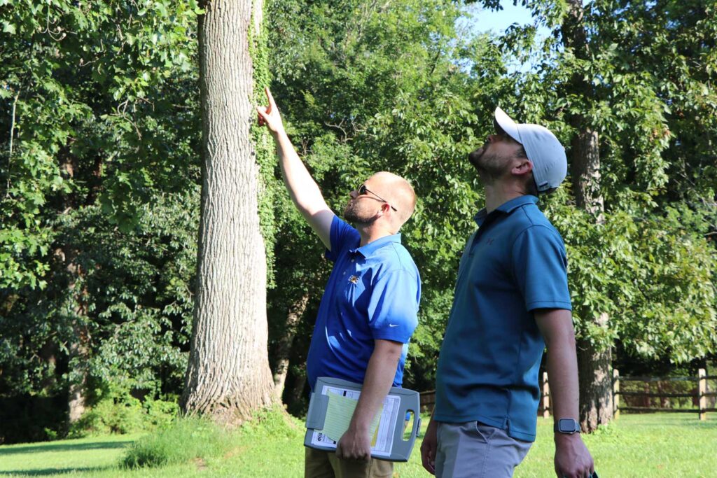 eos-tree-inspection-maryland