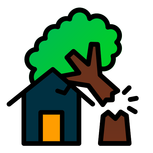 tree on house-emergency
