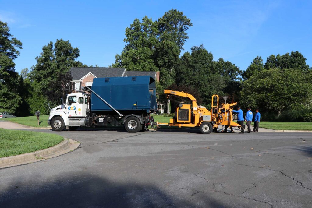 tree-removal-maryland-
