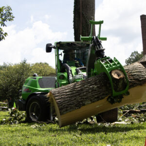 Certified Arborist Performing Tree Pruning and Cutting in Montgomery County, MD