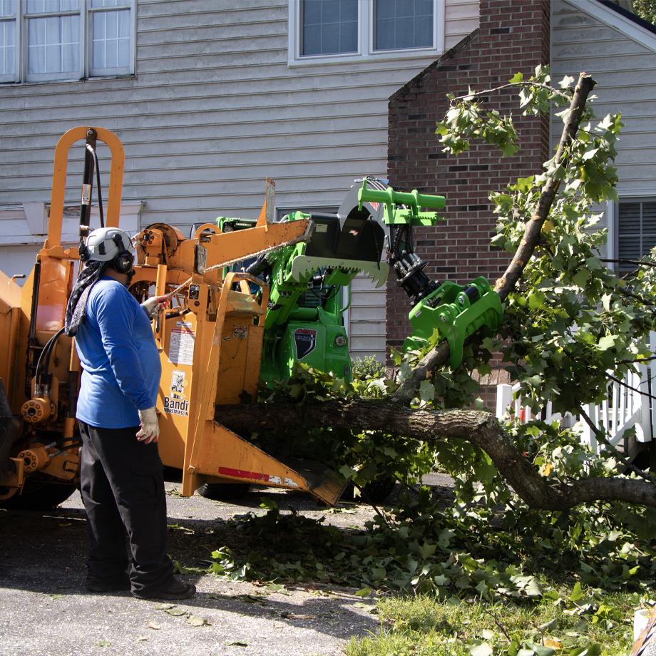 Emergency Tree Removal Technician in Howard County, MD