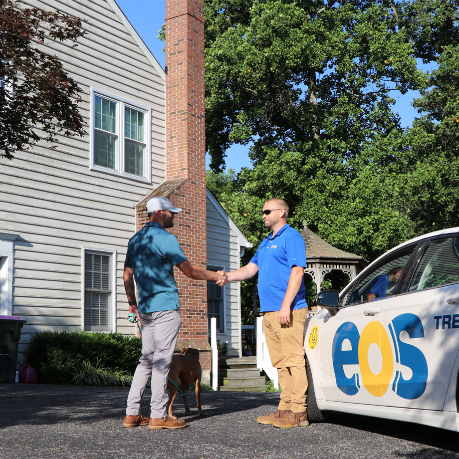 Affordable Tree Removal And Tree Trimming In Columbia, MD, Homeowner Meeting