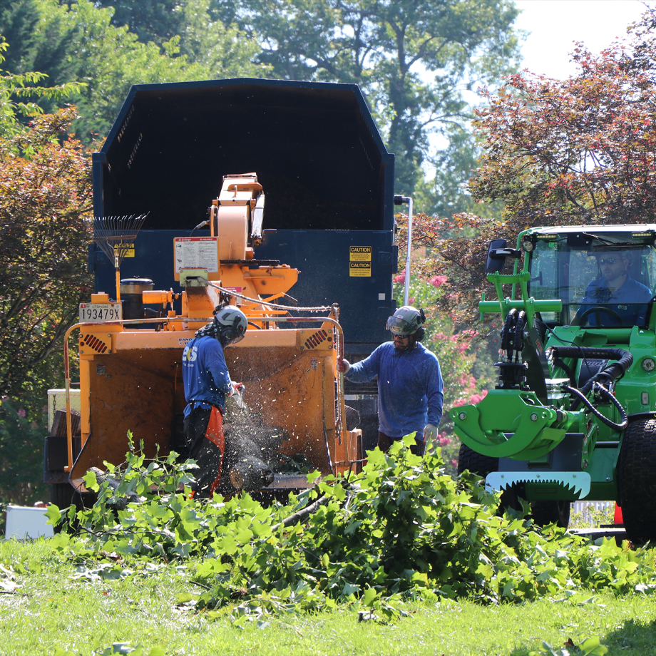 Affordable Tree Removal And Tree Trimming In Columbia, MD, Homeowner Meeting
