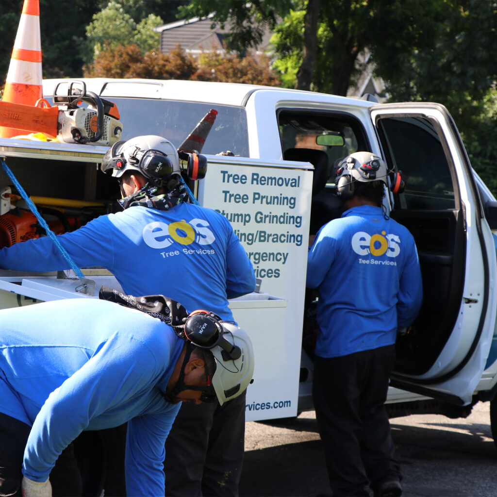 EOS Tree Services Tree Removal Company Crew Suiting Up Next to Their Service Vehicle Ready to Provide Tree Service in Columbia, MD