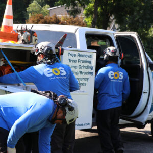 EOS Tree Services Tree Removal Company Crew Suiting Up Next to Their Service Vehicle Ready to Provide Tree Service in Columbia, MD