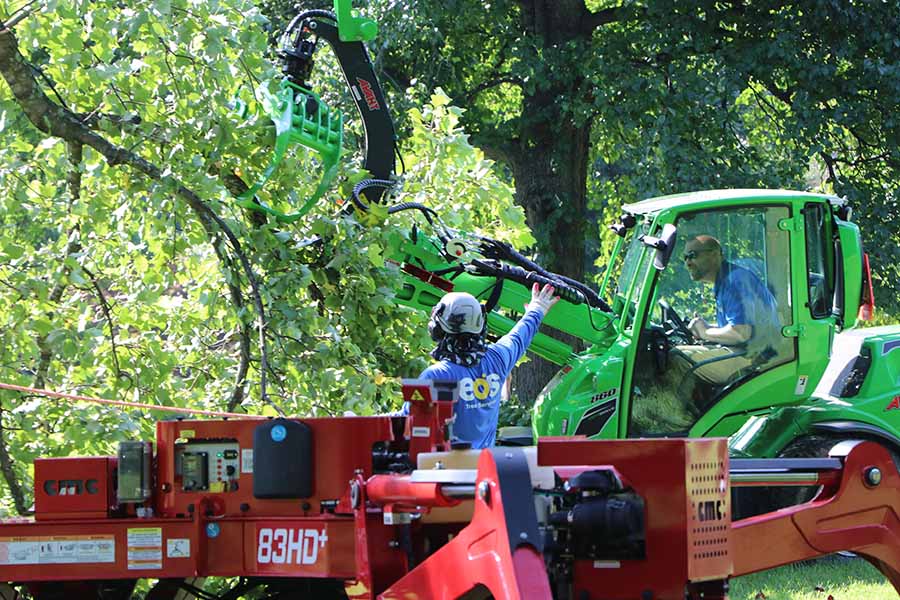seasonal tree services-spring-summer-Maryland