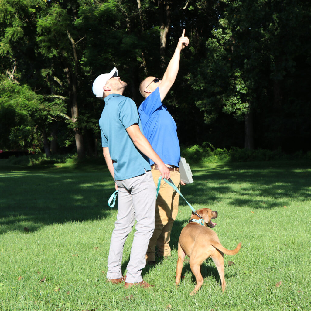 ISA-Certified Arborists Performing a Professional Tree Inspection in Montgomery County, MD