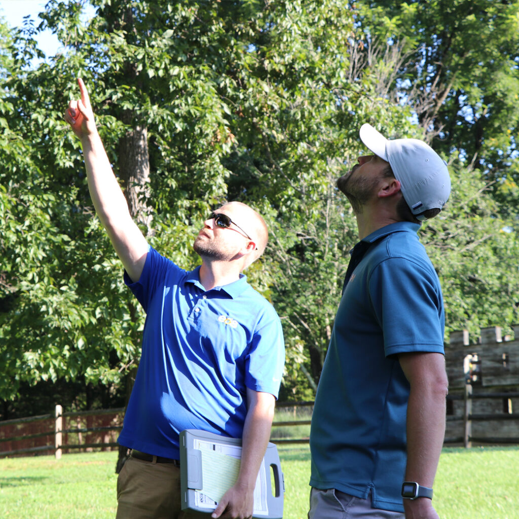 EOS Tree Services Arborists Pointing Out and Assessing Canopy Risk During a Professional Tree Inspection in Carroll County, MD