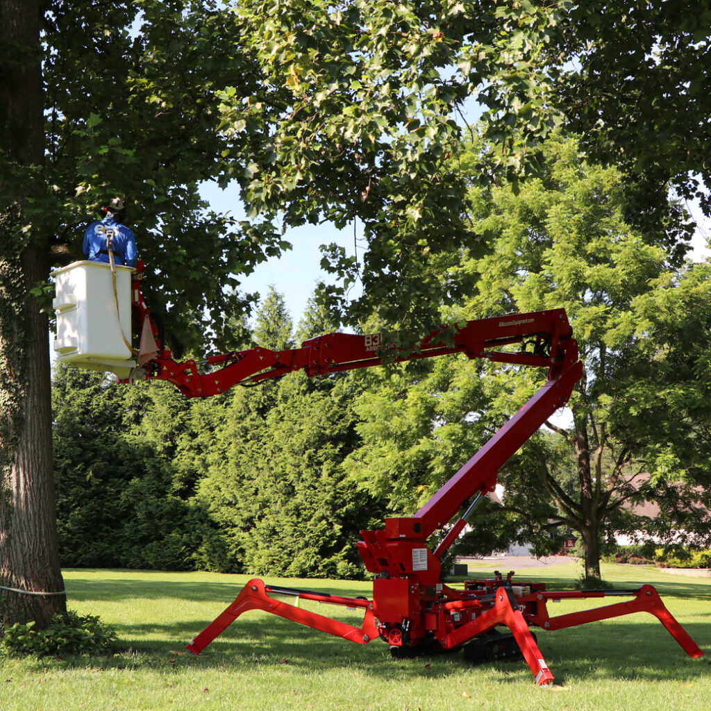 Spider Lift Aerial Tree Trimming and Tree Pruning in Montgomery County, MD