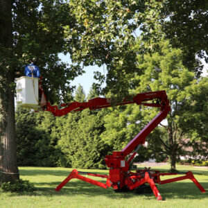 Spider Lift Aerial Tree Trimming and Tree Pruning in Montgomery County, MD