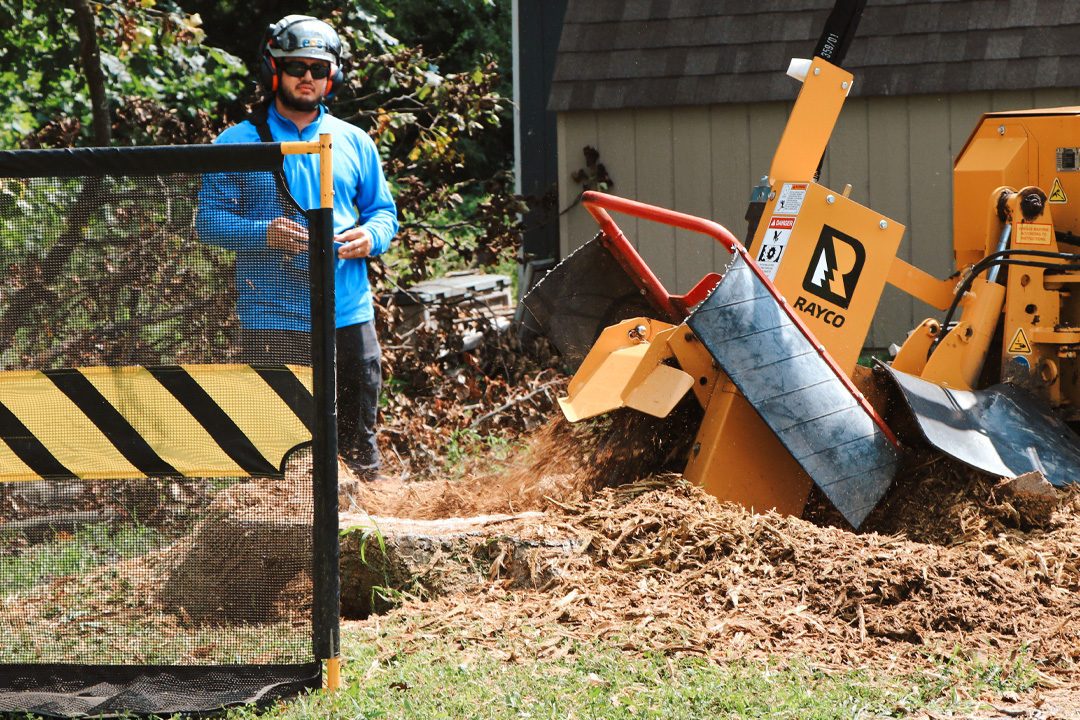 Emergency Tree Removal & Stump Grinding in Ellicott City, Dunloggin, and Linwood, MD
