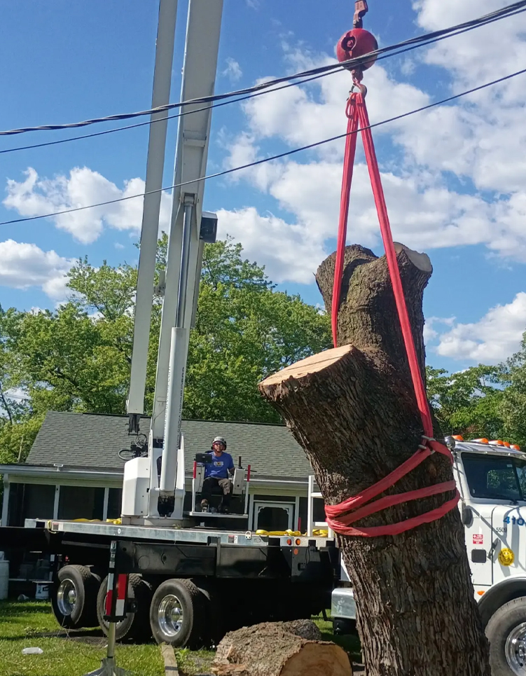 Crane Operator Lifting a Rigged Tree Trunk Section Over a Home During Crane Assisted Tree Removal in Frederick County, MD